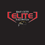 Bay City Panthers logo