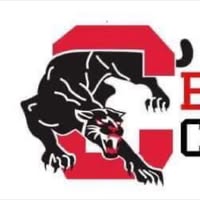 Brooklyn Cougars logo