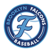 Brooklyn Falcons logo