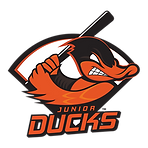 Junior Ducks  logo