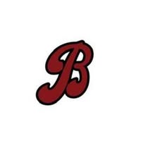 New Jersey Batbusters logo