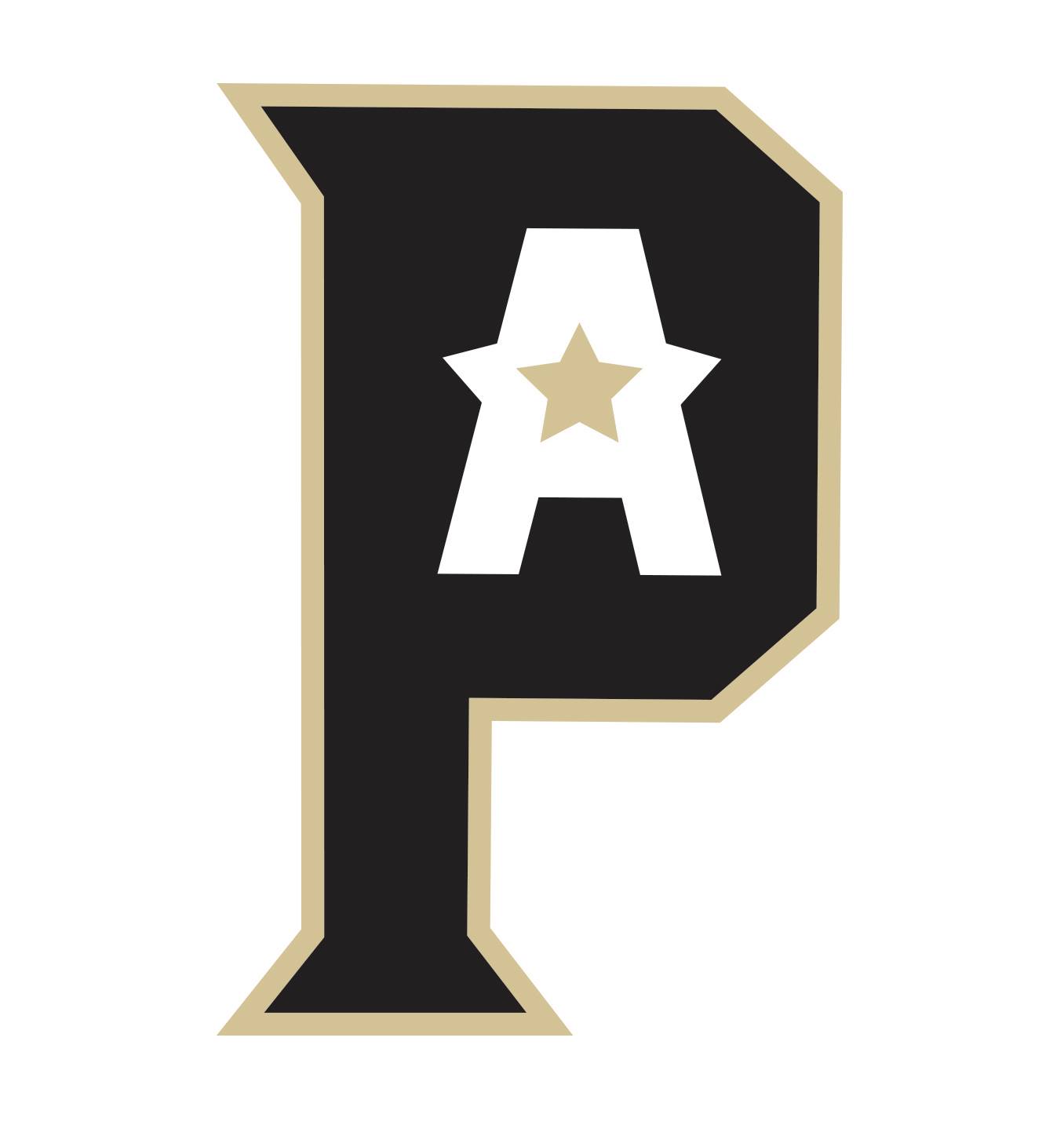 PA Playmakers logo