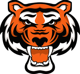 Rawlings Tigers - Pittsburgh logo
