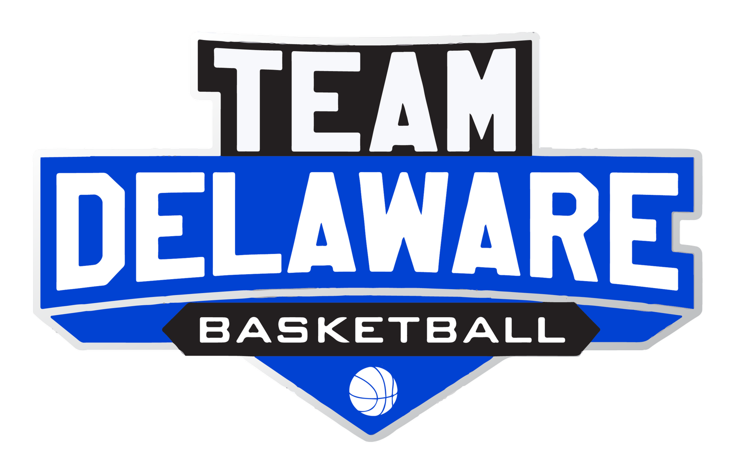 Team Delaware logo